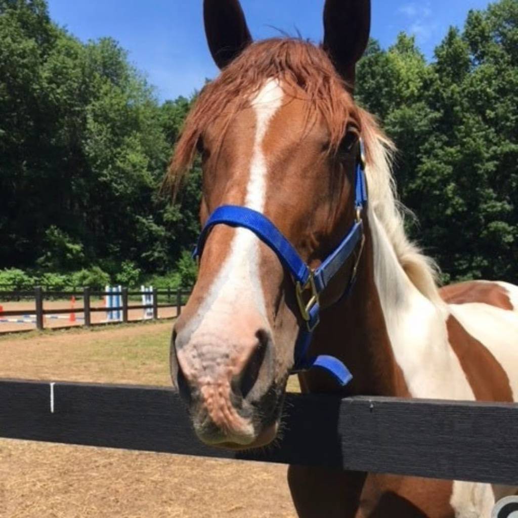 Alliance Septermber Newsletter2022